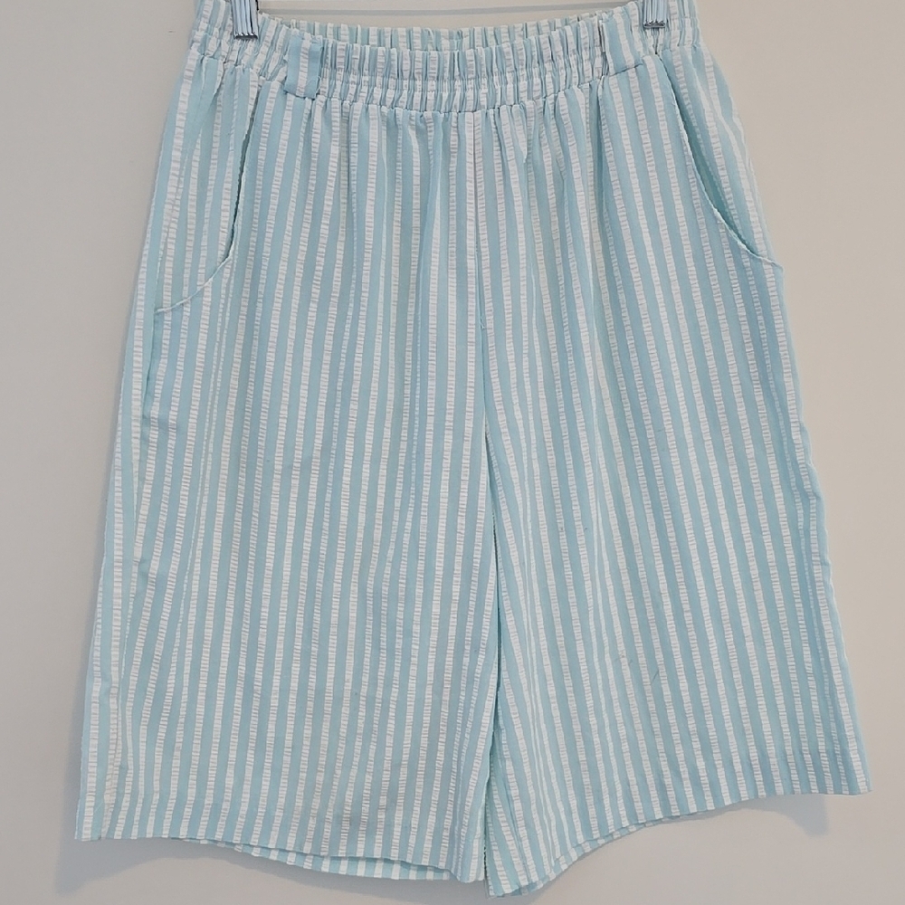 Striped Blue and White Shorts